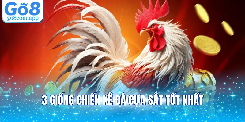 3 giống chiến kê đá cựa sắt tốt nhất