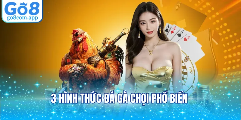 3 hình thức đá gà chọi phổ biến