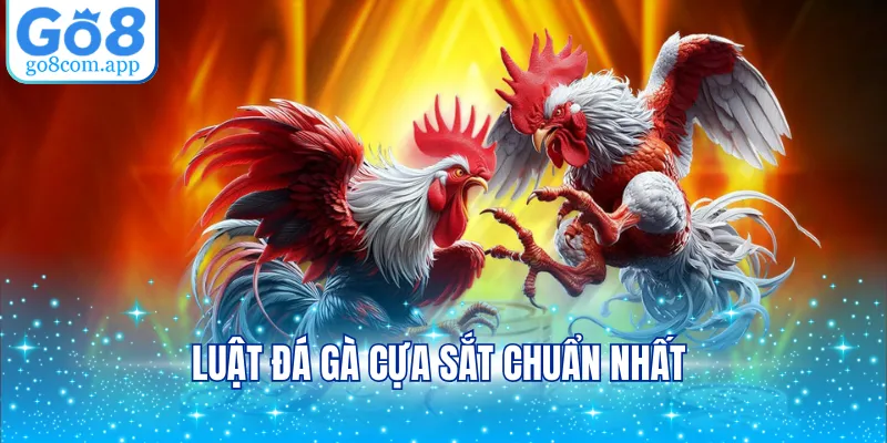 Luật đá gà cựa sắt chuẩn nhất