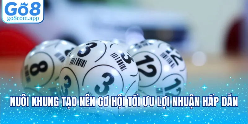 Nuôi khung tạo nên cơ hội tối ưu lợi nhuận hấp dẫn