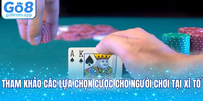 Tham khảo các lựa chọn cược cho người chơi tại xì tố