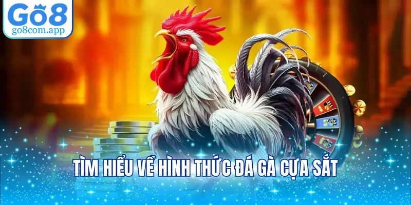 Tìm hiểu về hình thức đá gà cựa sắt