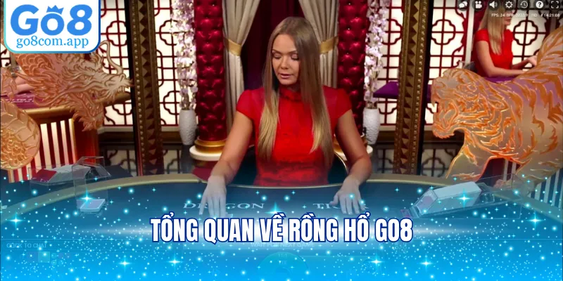 Tổng quan về rồng hổ GO8