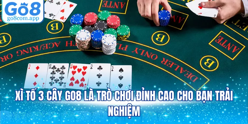 Xì tố 3 cây GO8 là trò chơi đỉnh cao cho bạn trải nghiệm